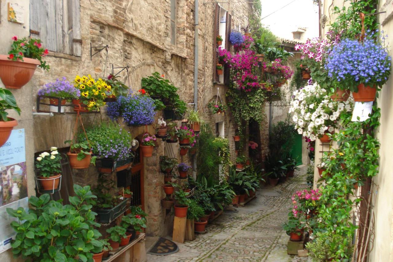 B&B Il Sognatore Perugia Exterior foto